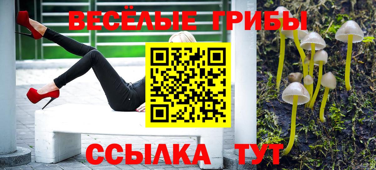 что такое наркотик  Вход с VPN  Анапа  Галлюциногенные грибы Psilocybine cubensis 